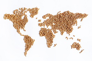Réglementations: n’ayez pas peur d’internationaliser vos produits à l’étranger