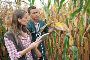 Quels seront les enjeux des industries agroalimentaires d’ici 2030 ?