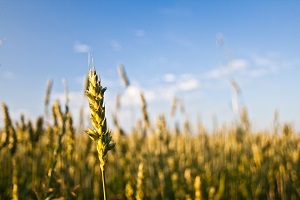 Cas d&rsquo;exemple: Comment optimiser et maîtriser son portefeuille produit ?