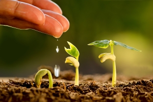 La transformation digitale libère maintenant la design chain dans l&rsquo;agroalimentaire et la cosmétique